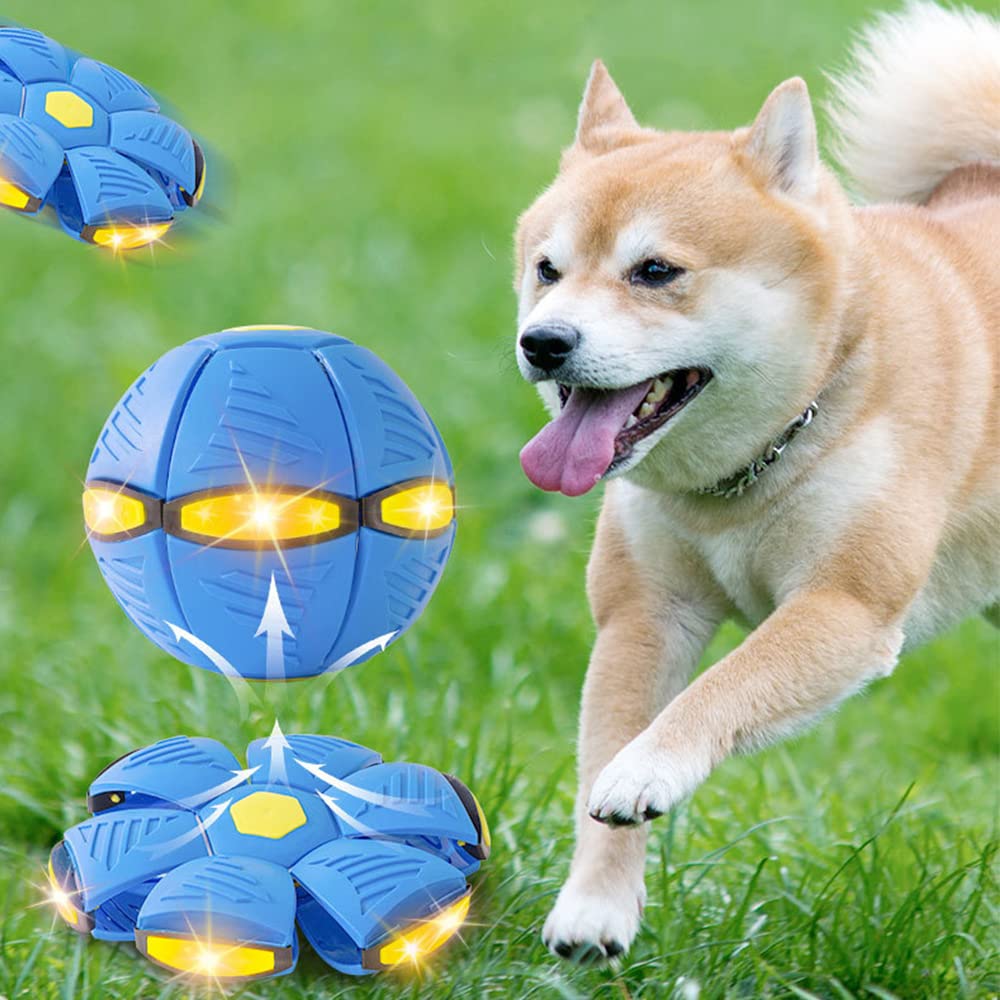 Disco Platillo pelota voladora para perros